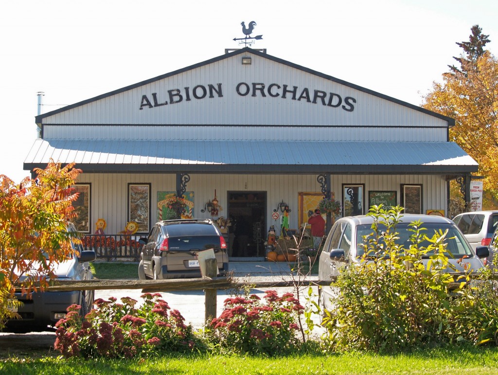 Farm Fresh Apples, Albion Orchards Country Store