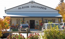 Farm Fresh Apples, Albion Orchards Country Store