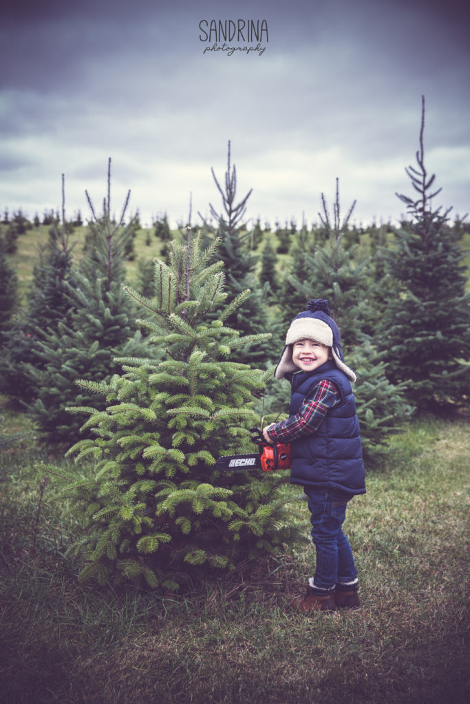 a Handsome young lumberjack chooses a tree to cut !