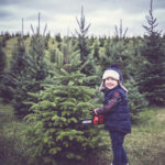 a Handsome young lumberjack chooses a tree to cut !