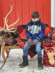 Reindeer Event at Albion Orchards